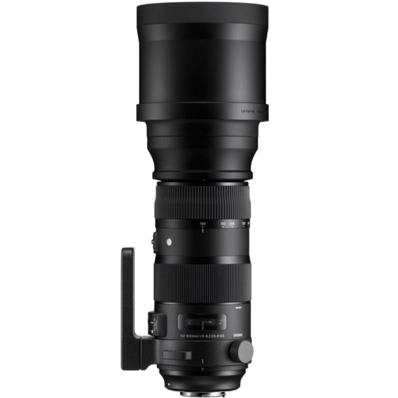 适马（SIGMA）150-600mm F5-6.3 DG OS HX｜Sports 全画幅 超远摄变焦镜头  打鸟拍荷花（佳能单反卡口）
