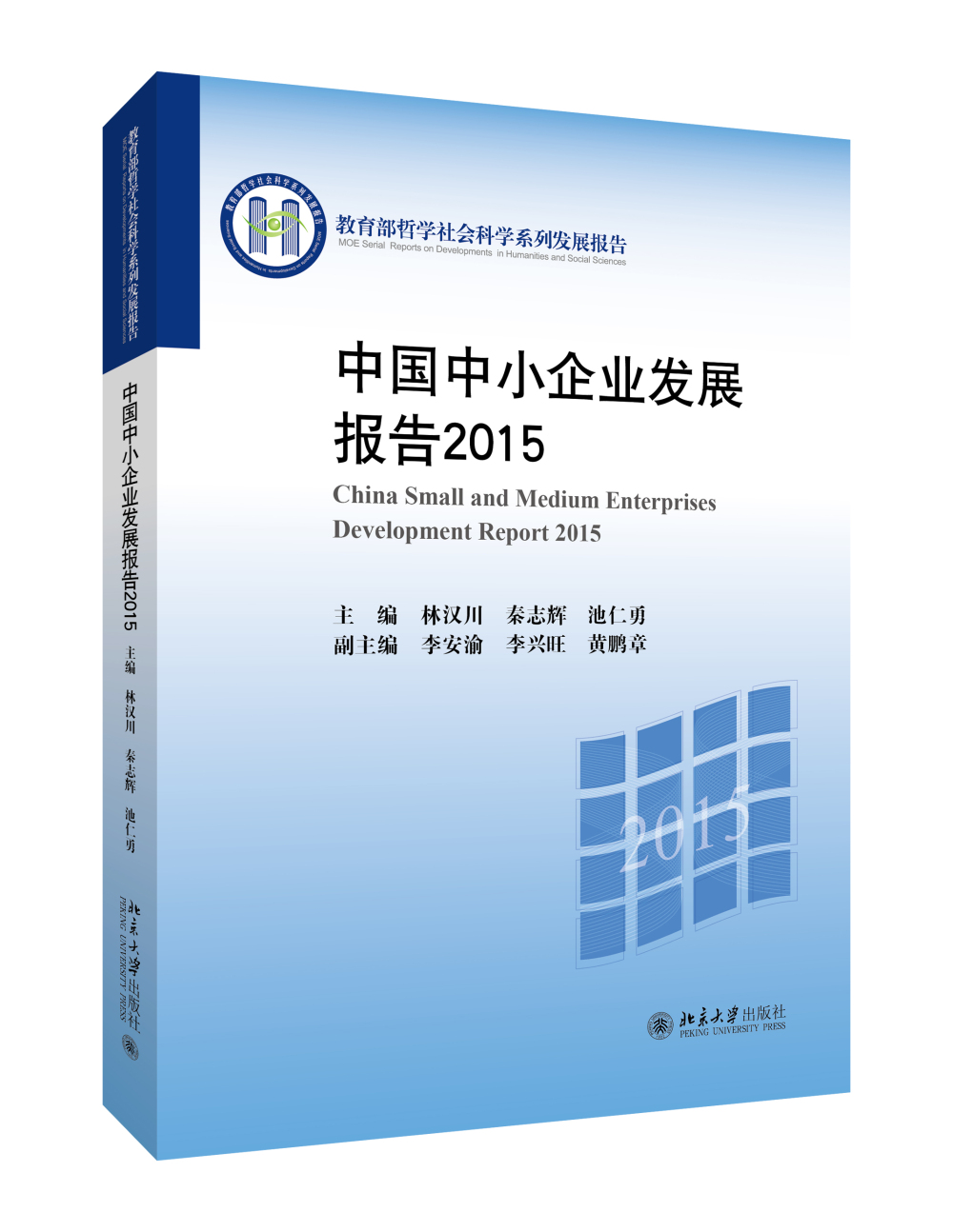 中国中小企业发展报告2015