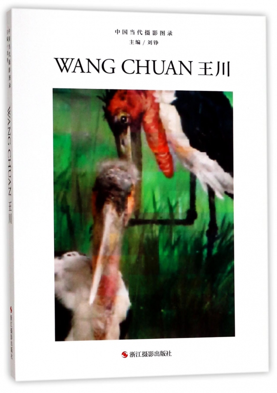 王川(精)/中国当代摄影图录