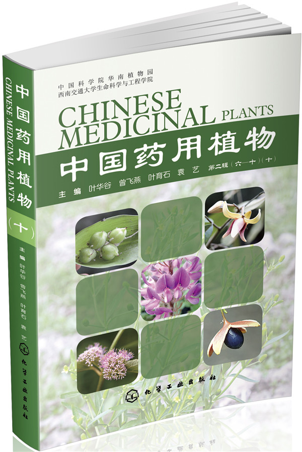 中国药用植物（十）