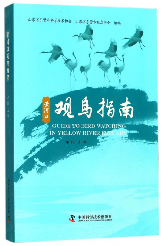 黄河口观鸟指南