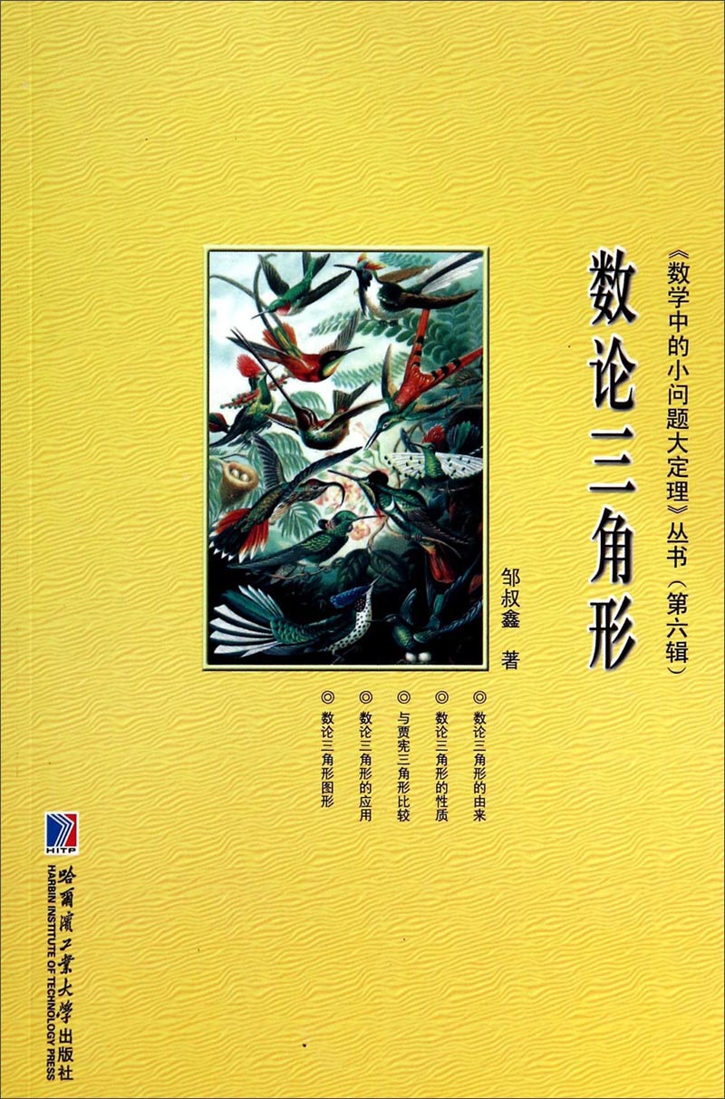 《数学中的小问题大定理》丛书（第6辑）：数论三角形