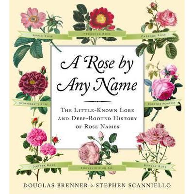 预订 Rose by Any Name