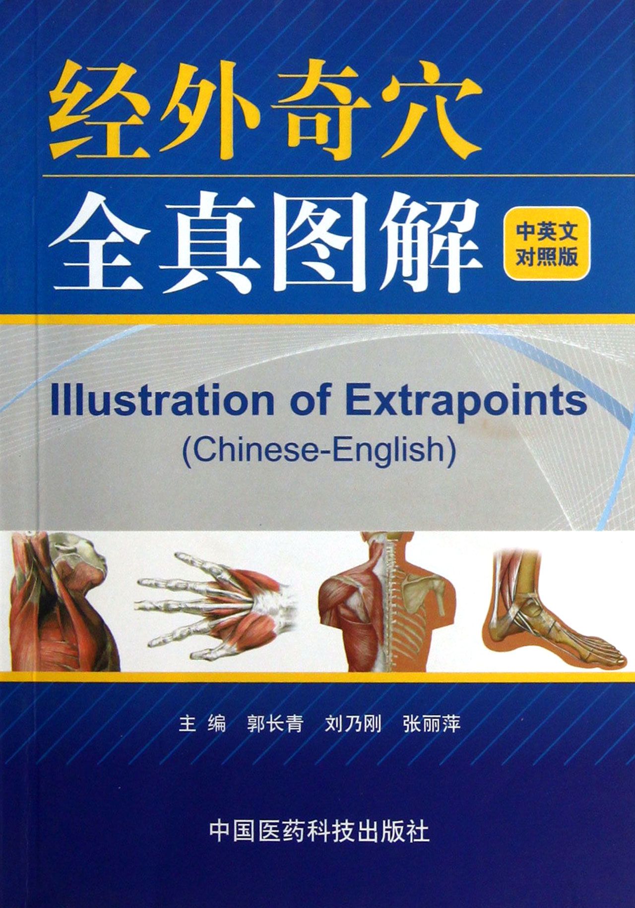 经外奇穴全真图解(中英文对照版)
