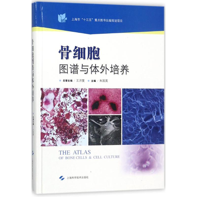 骨细胞图谱与体外培养