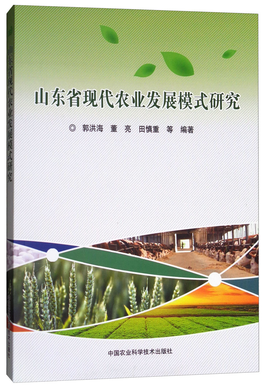 山东省现代农业发展模式研究