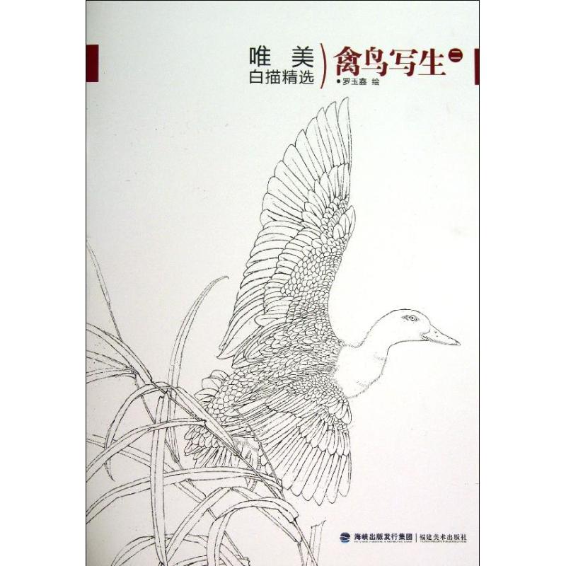 唯美白描精选(2)禽鸟写生