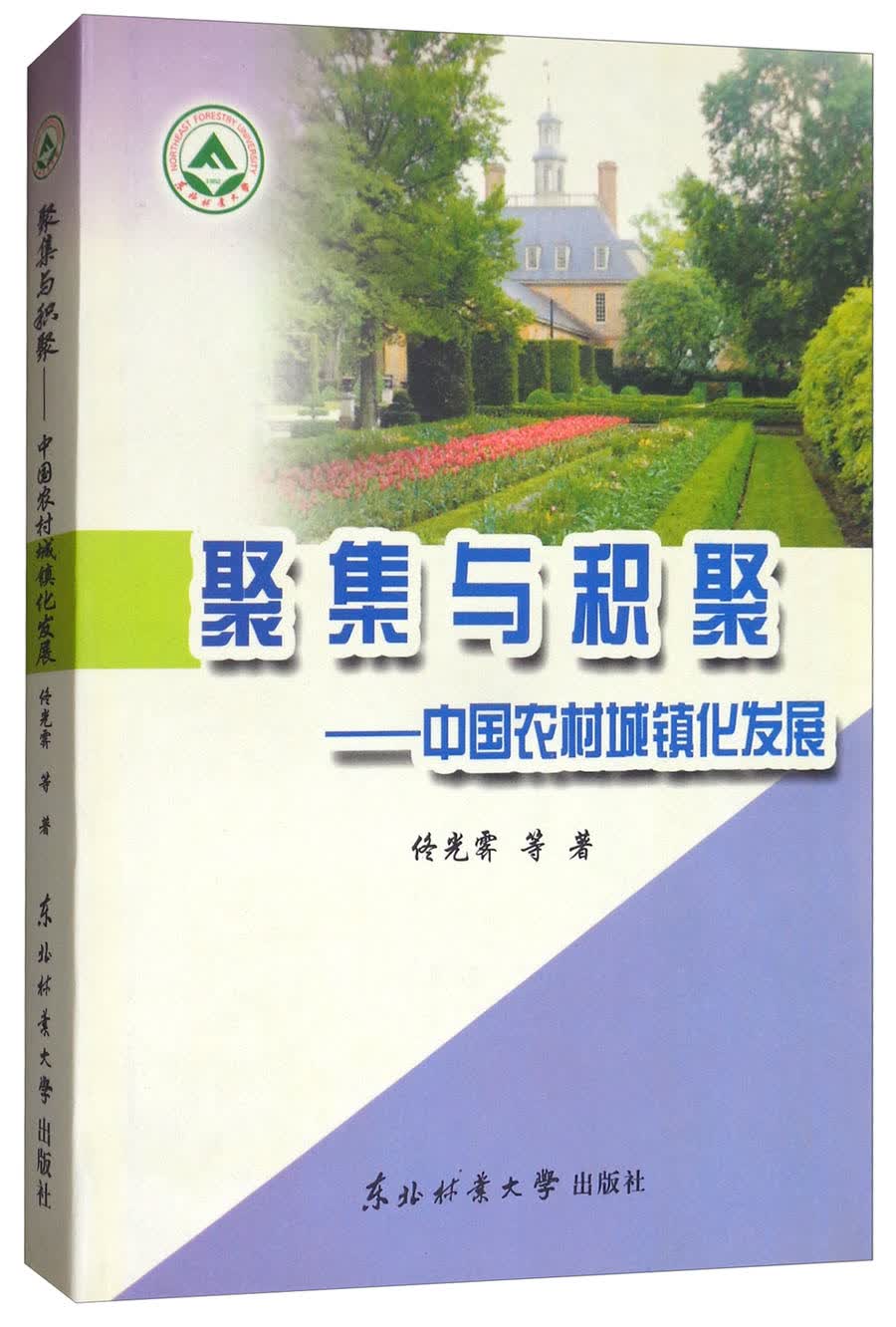 聚集与积聚：中国农村城镇化发展