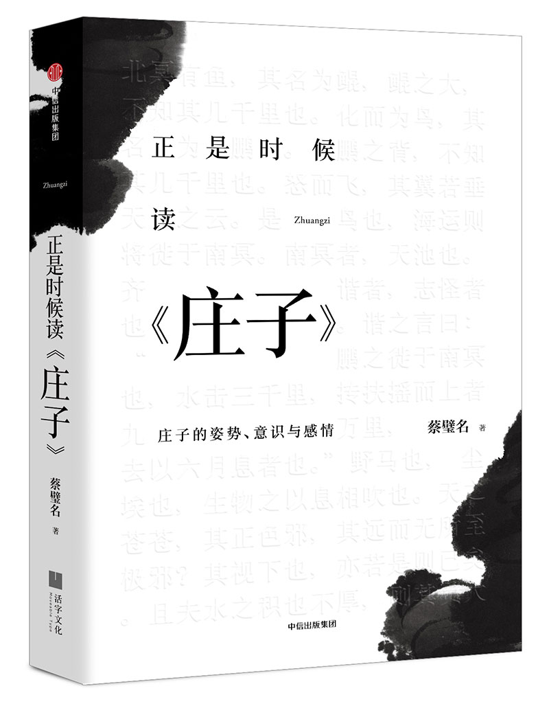 正是时候读庄子 庄子的姿势、艺术与感情 中信出版社
