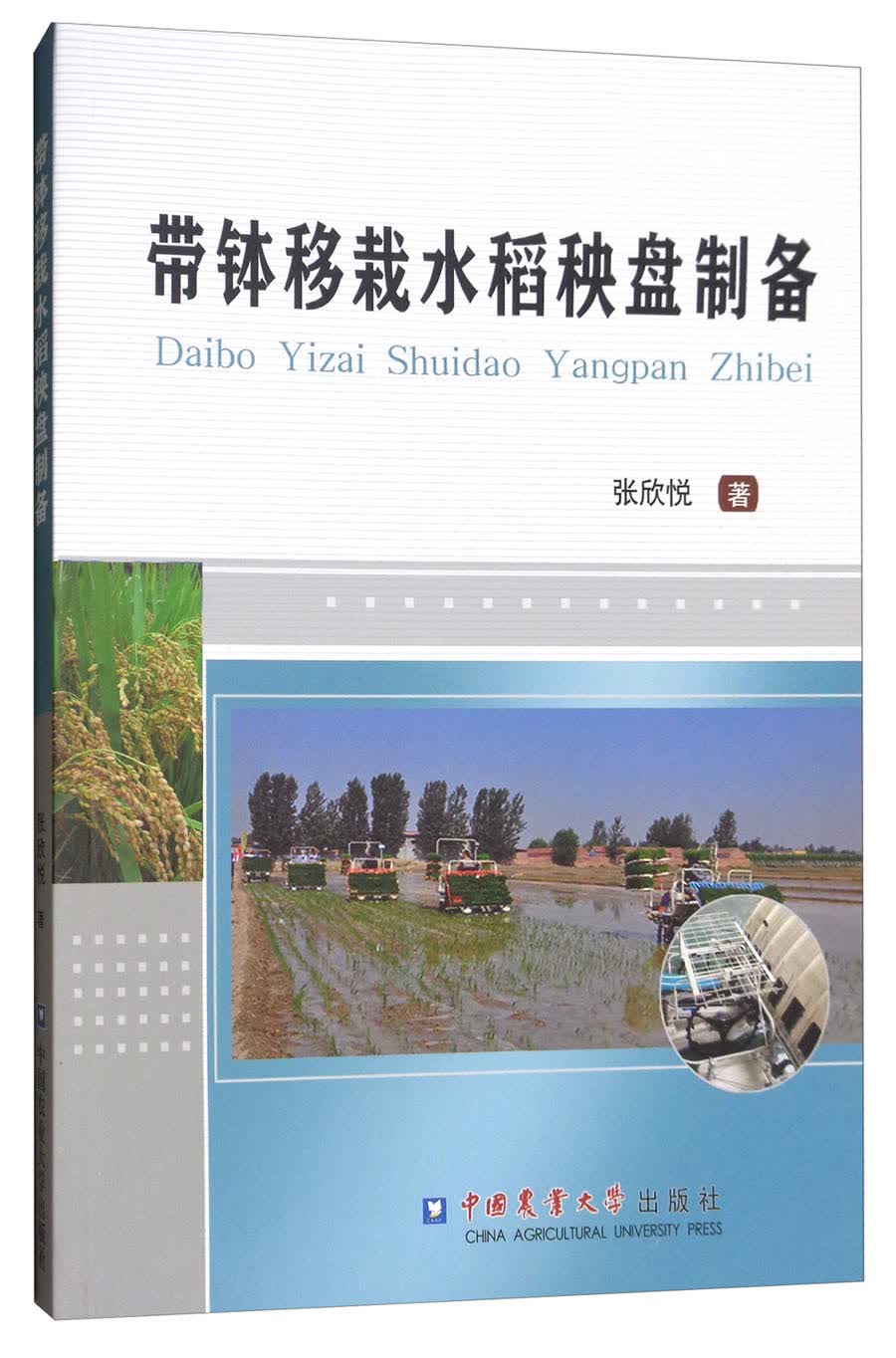 带钵移栽水稻秧盘制备