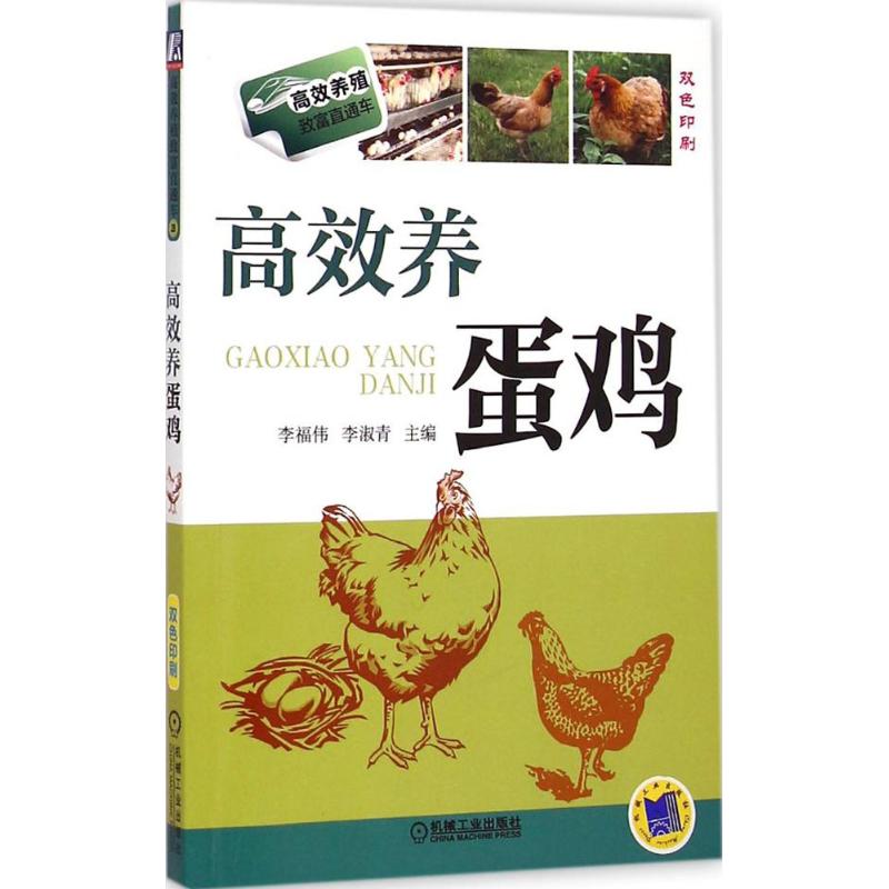 高效养蛋鸡