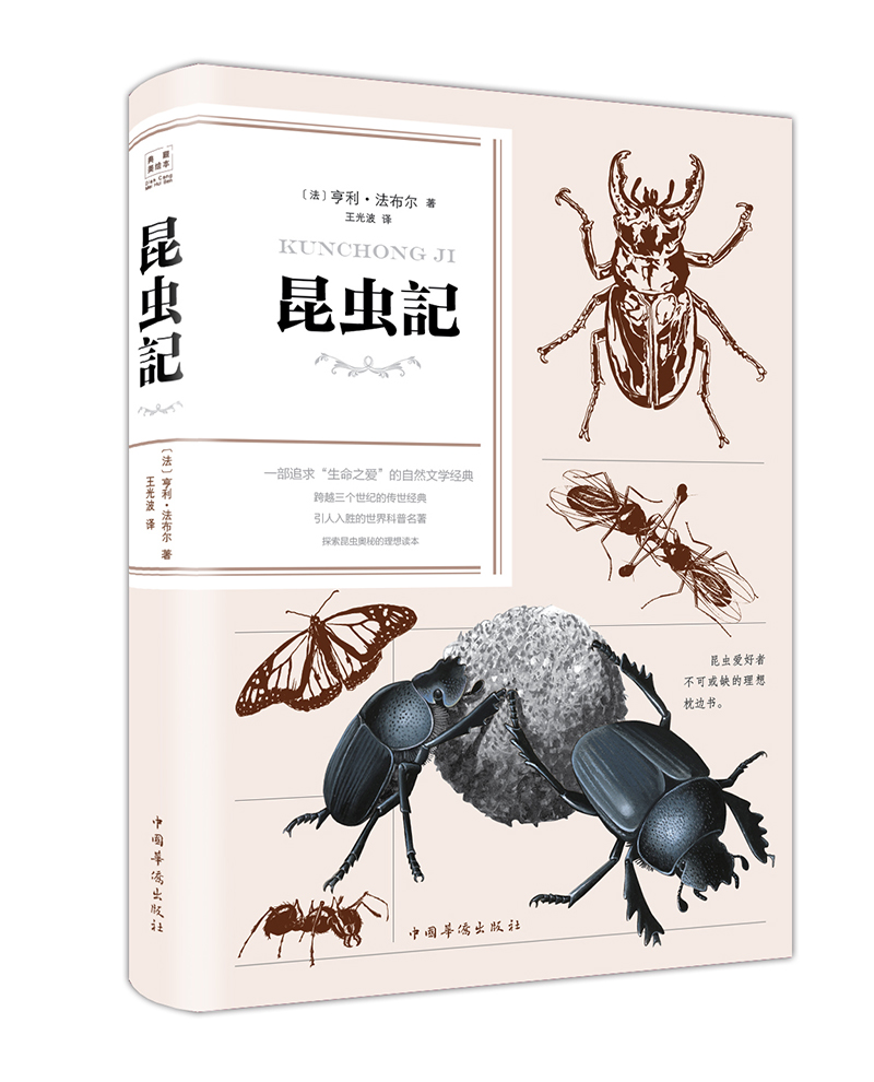 课外读物历史价格走势图|课外读物价格比较