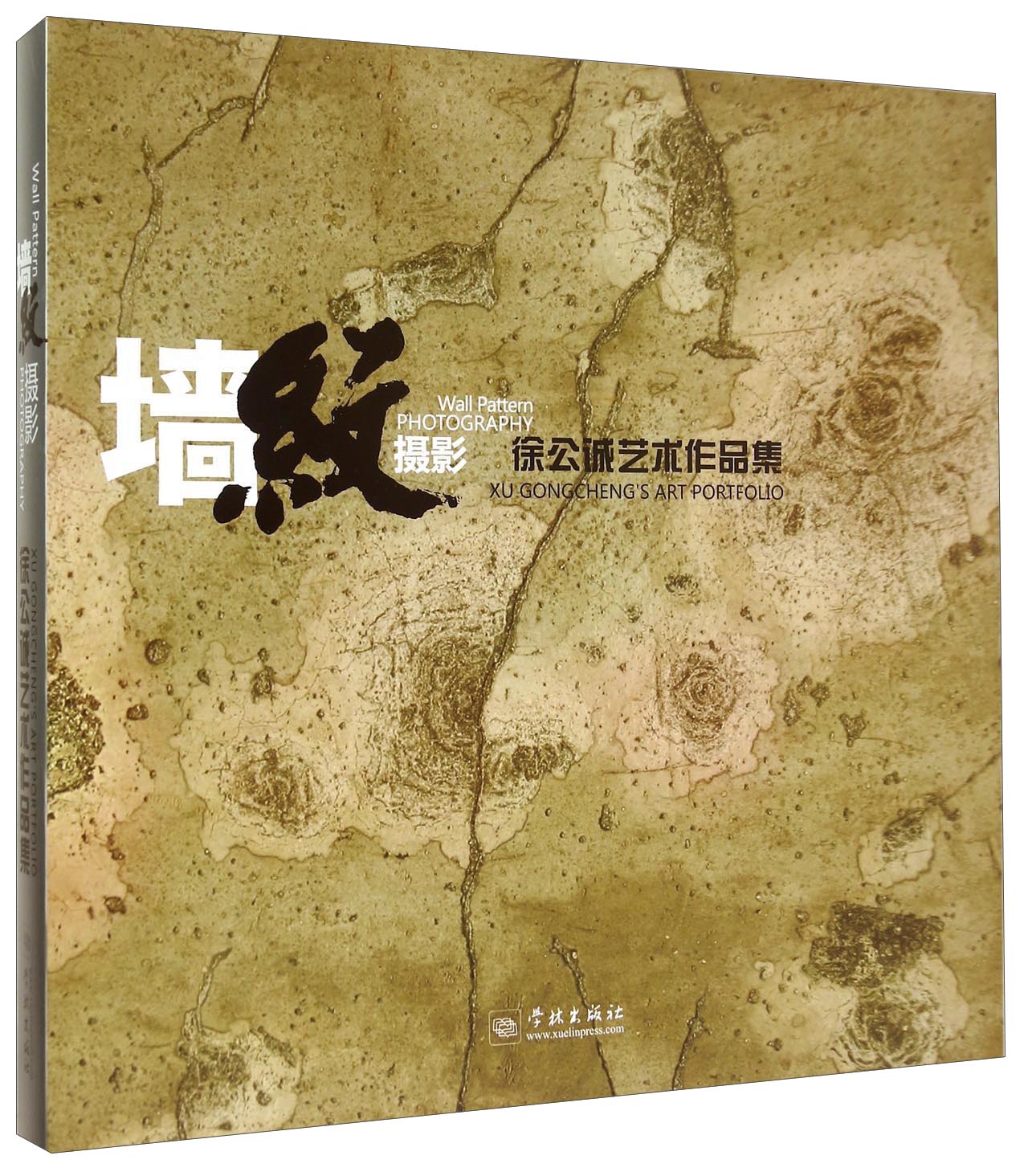 墙纹摄影:徐公诚艺术作品集