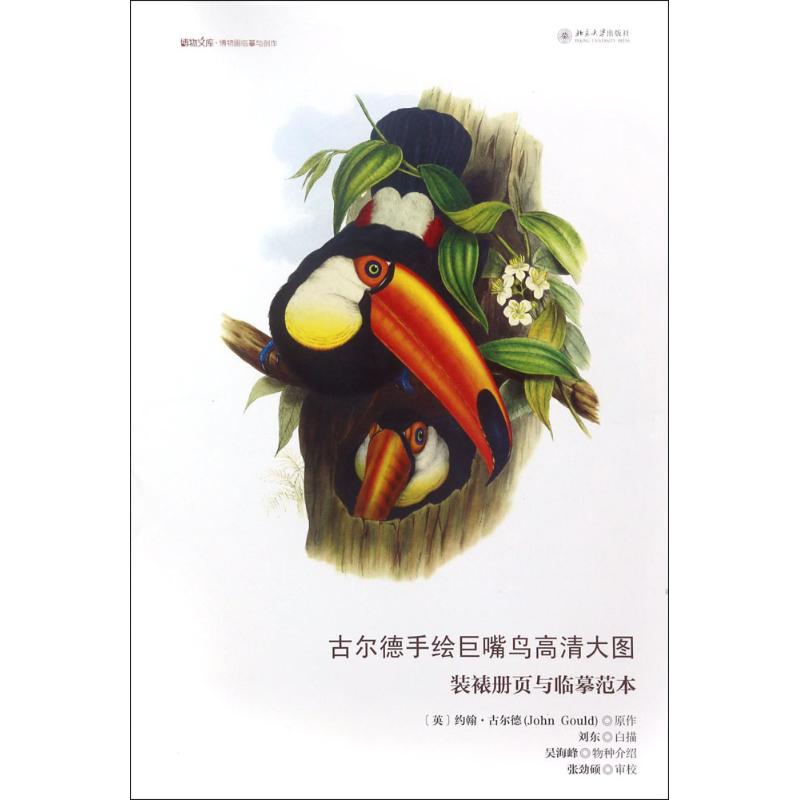 古尔德手绘巨嘴鸟高清大图