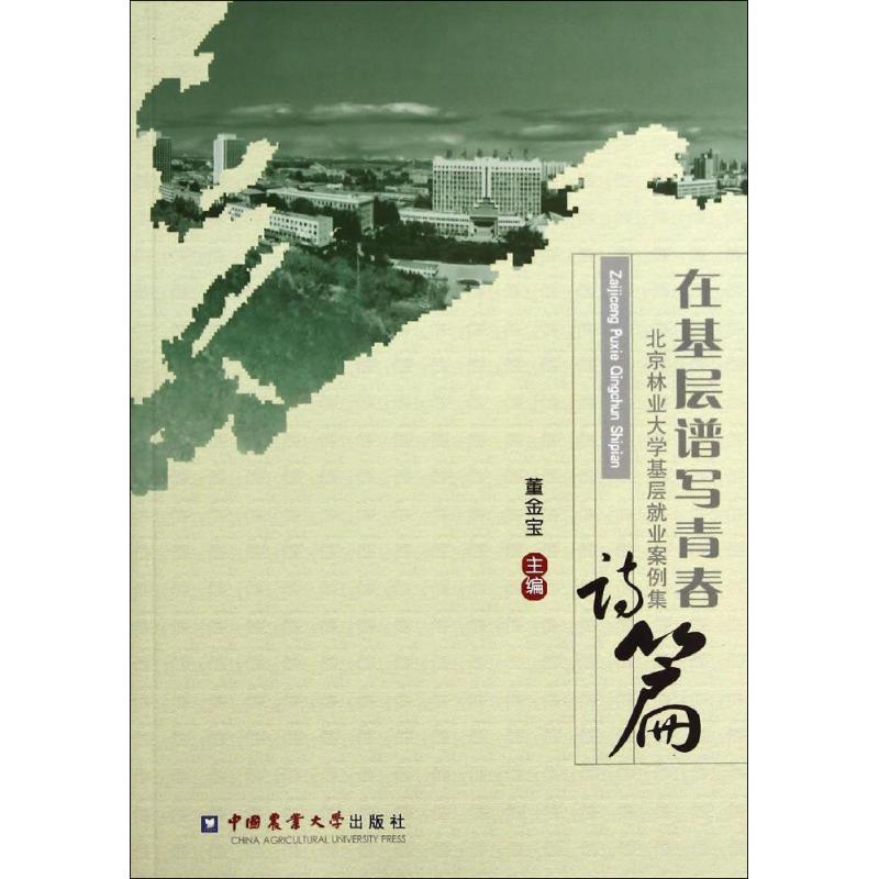 在基层谱写青春诗篇