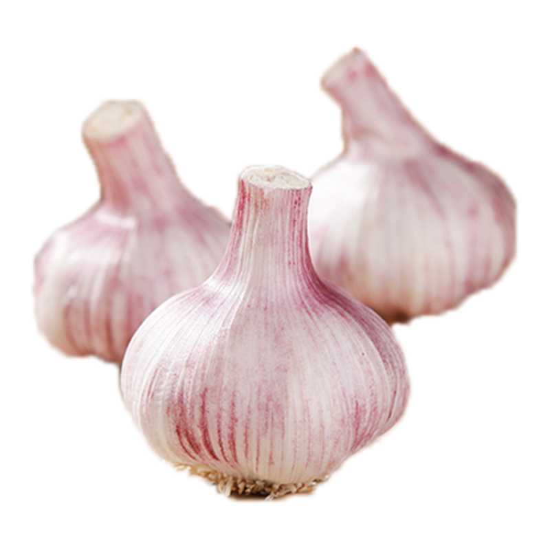 亨泰丰源新鲜大蒜头 当年蒜果蔬菜 农家种植蒜 笨蒜湿蒜尝鲜 简装500g
