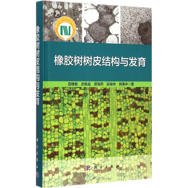 橡胶树树皮结构与发育