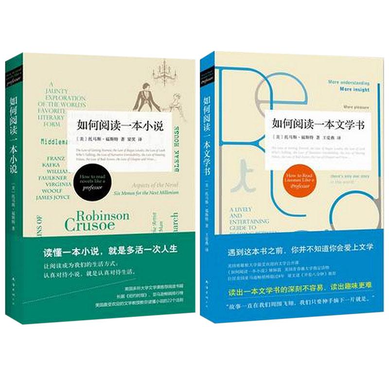 如何阅读一本书文学和小说 套装共2册