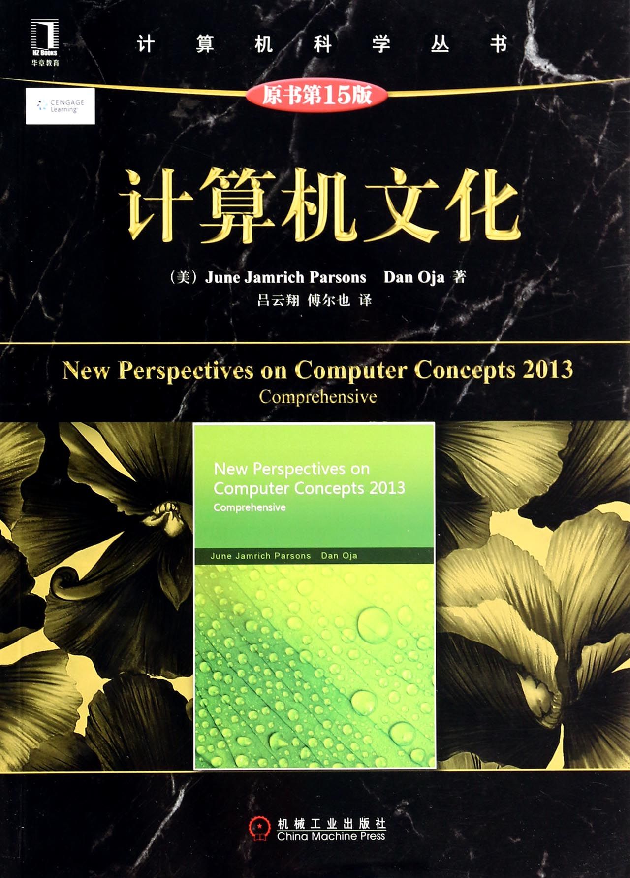 计算机文化(原书*5版)/计算机科学丛书