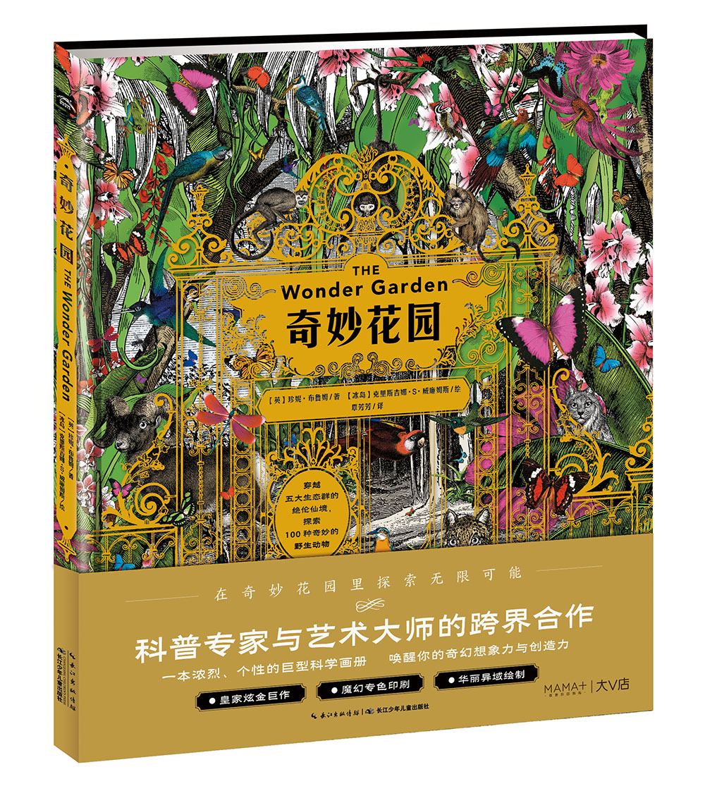 洛伦兹·奇妙花园