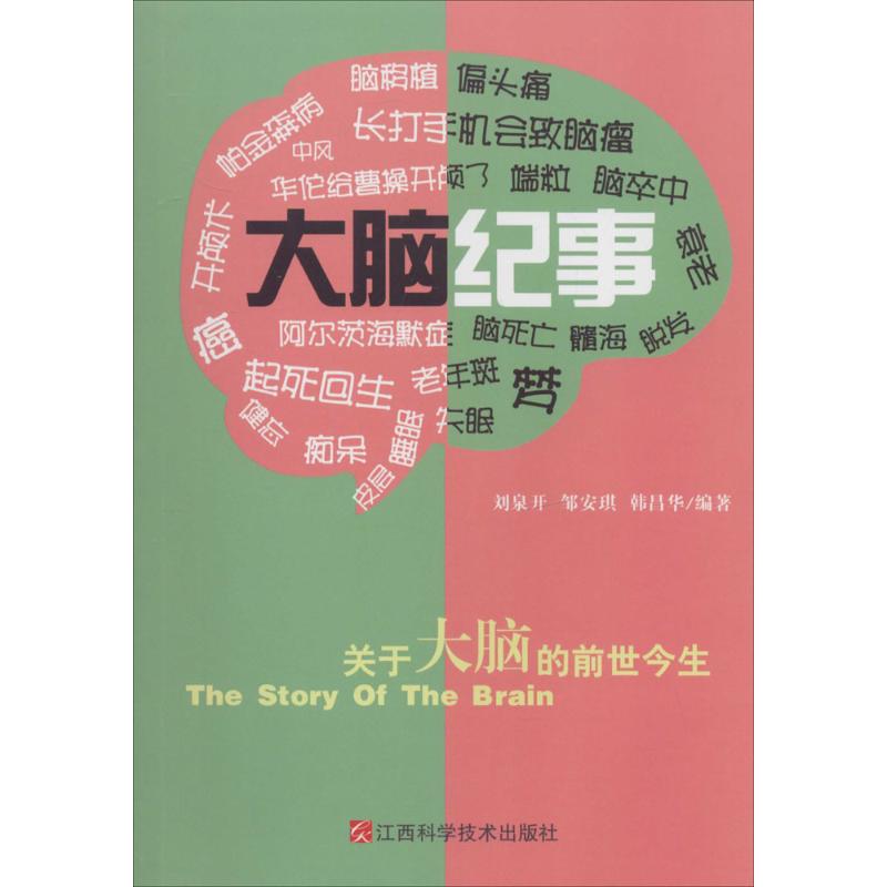 大脑纪事