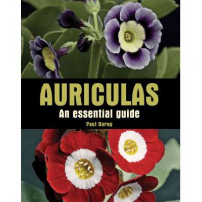 预订 Auriculas: An Essential Guide