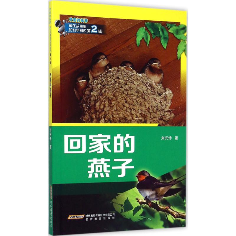 回家的燕子