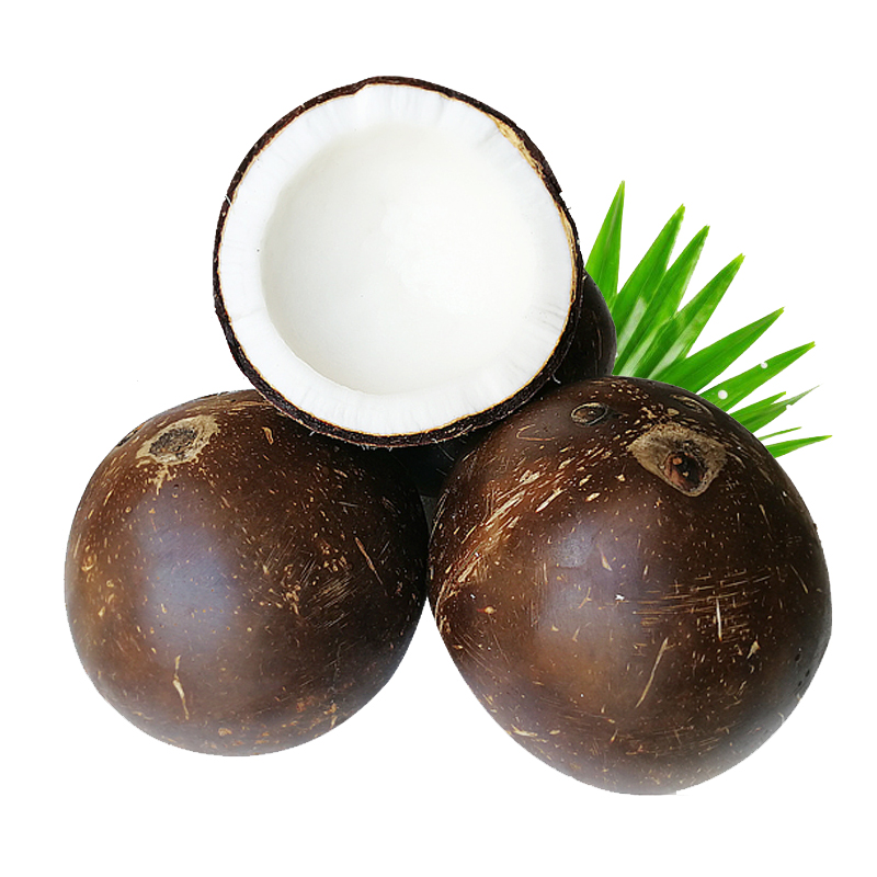 蔬果哆 新鲜水果 海南特产 新鲜椰子 椰皇 老椰子 单个约750g 三个装