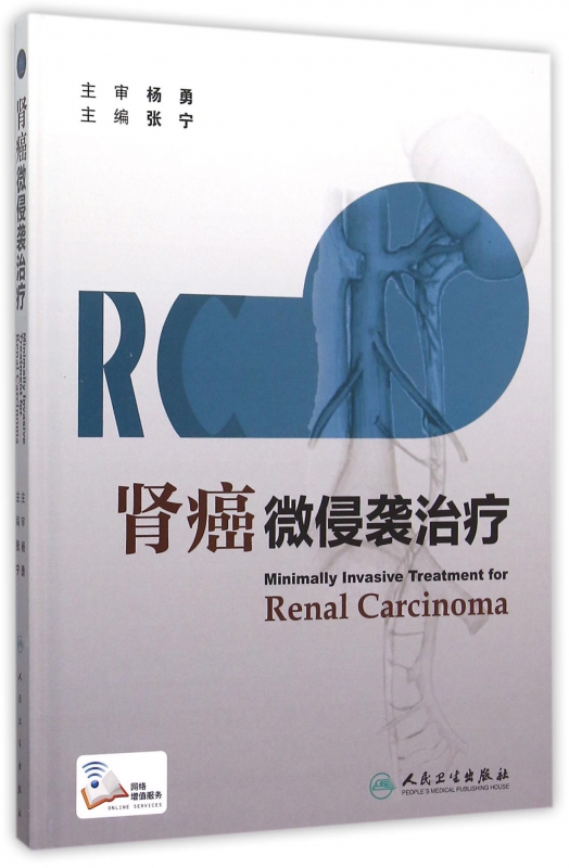 肾癌微侵袭治疗(精)