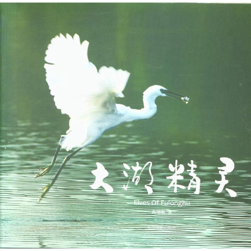 大湖精灵