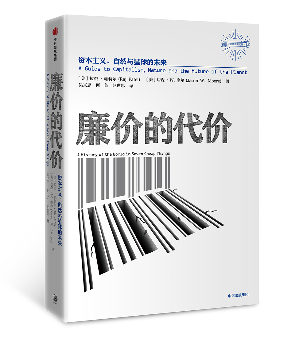 廉价的代价 资本主义、自然与星球的未来 拉杰.帕特尔 中信出版社