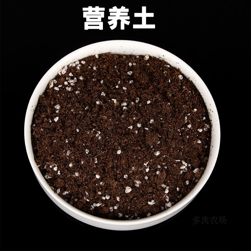 通用营养土 桌面盆栽绿植花卉多肉植物兰花菌包专用 透水透气防烂根