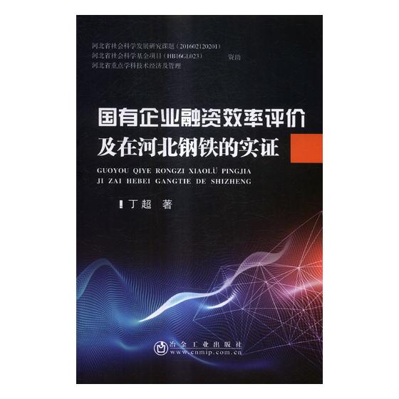 国有企业融资效率评价及在河北钢铁的实证 金融与投资 丁超著 冶金工业出版社 978750247665