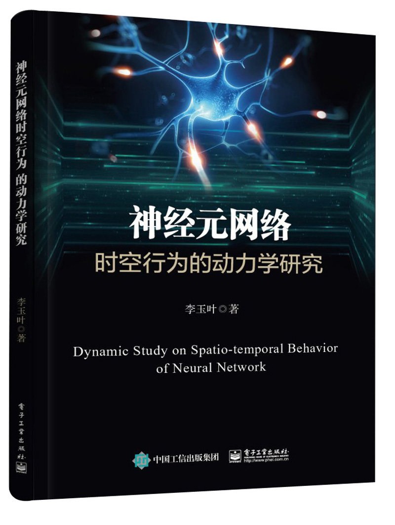 神经元网络时空行为的动力学研究