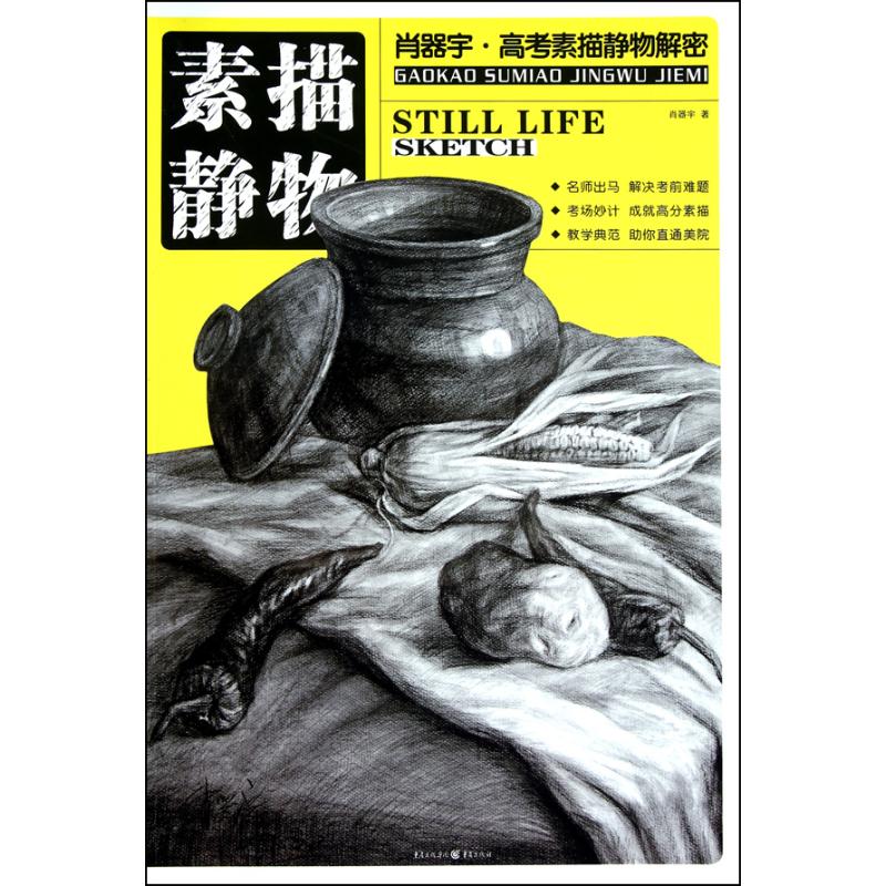 肖器宇·高考素描静物解密：素描静物 