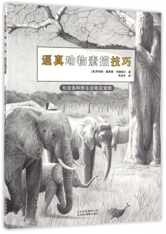 逼真动物素描技巧