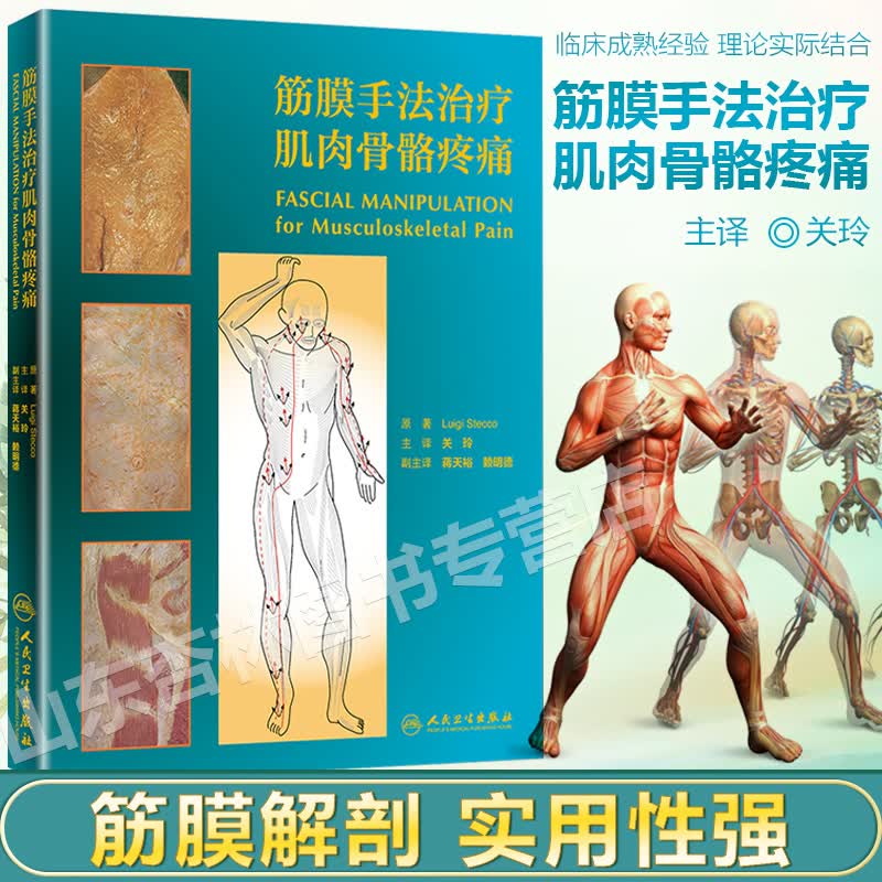 筋膜手法治疗肌肉骨骼疼痛 翻译版 筋膜肌肉骨骼血管神经解剖 运动康复治疗内部功能失调解剖书籍