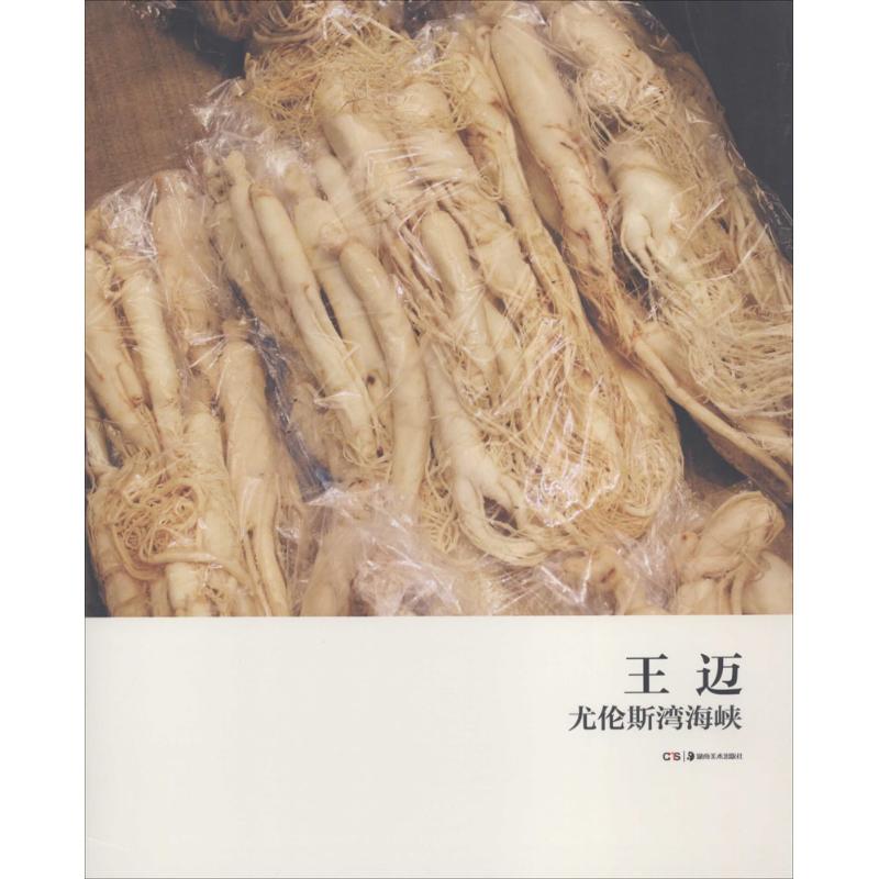 王迈