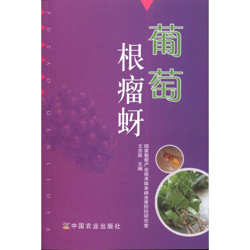 葡萄根瘤蚜