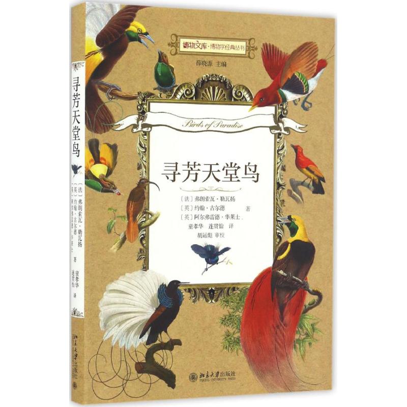 寻芳天堂鸟