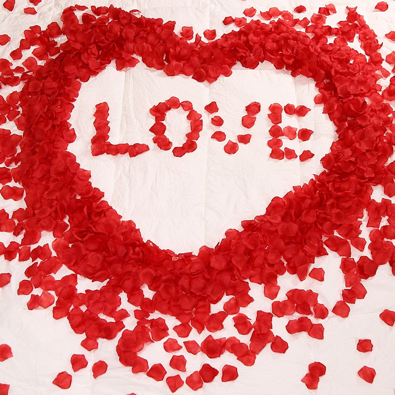 青苇 玫瑰花瓣 婚房布置装饰 结婚用品 七夕情人节表白求婚 红色 720片装