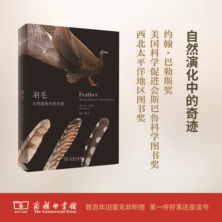 羽毛：自然演化中的奇迹 商务印书馆