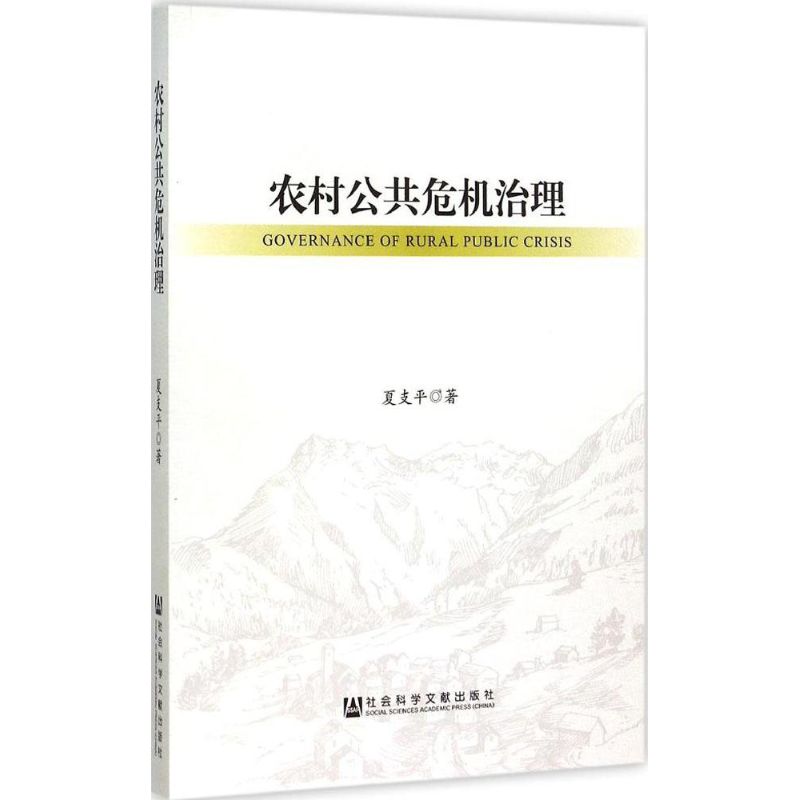 农村公共危机治理