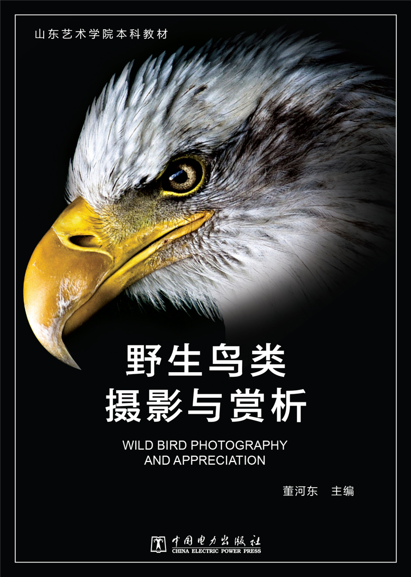 野生鸟类摄影与赏析