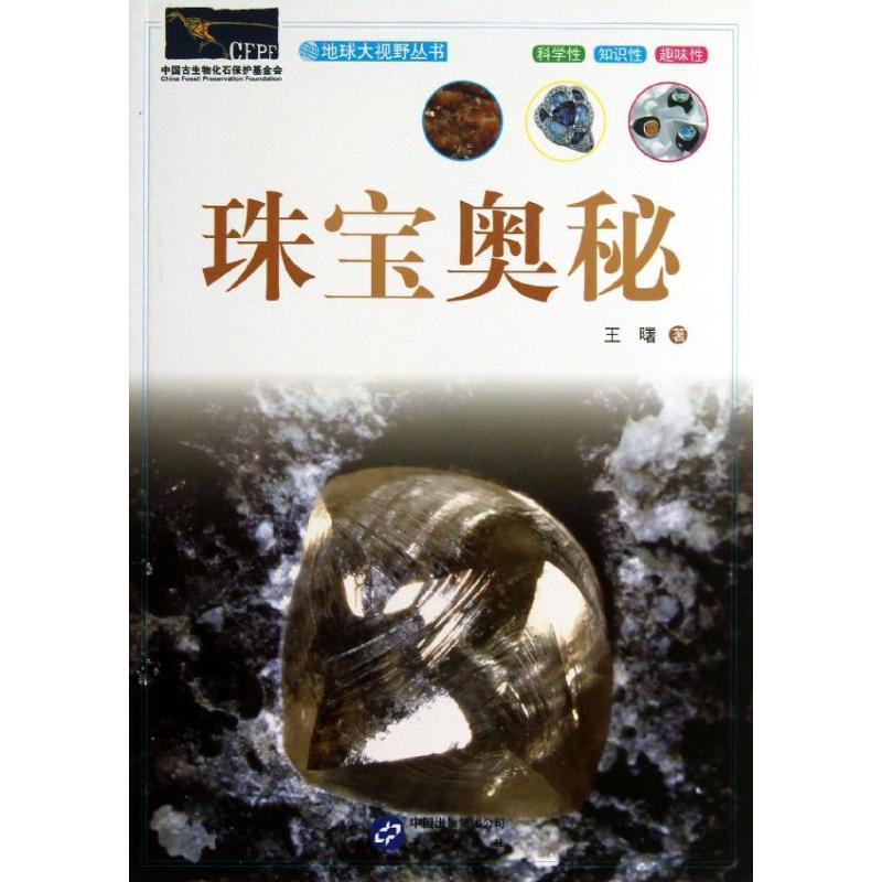 珠宝奥秘/地球大视野丛书