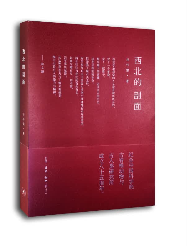 西北的剖面