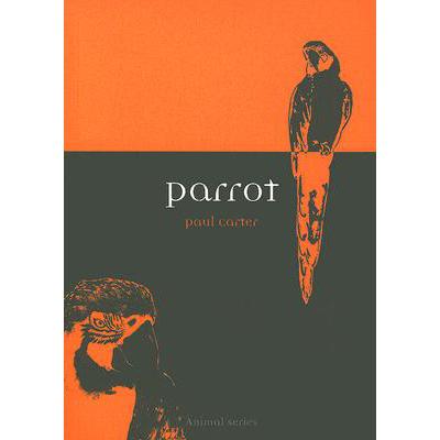 预订 Parrot