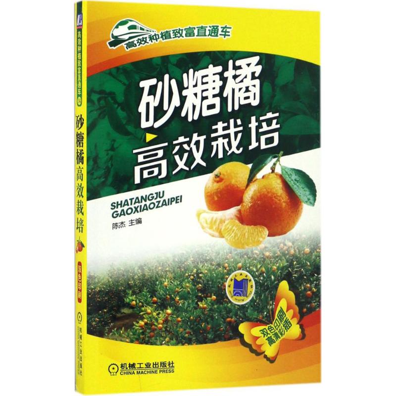 官网正版 砂糖橘高效栽培 陈杰 种植致富直通车 农业经典实用技术图书 技能培训教材