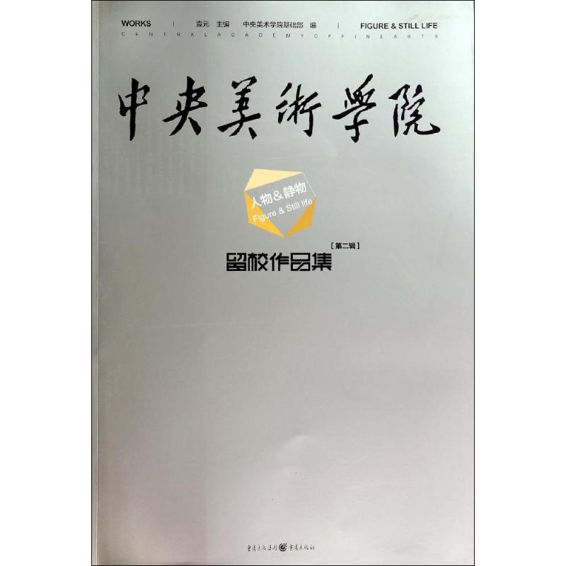 中央美术学院留校作品集(2)人物&静物