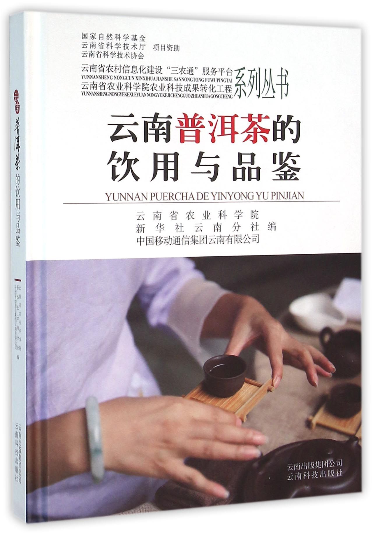 云南普洱茶的饮用与品鉴